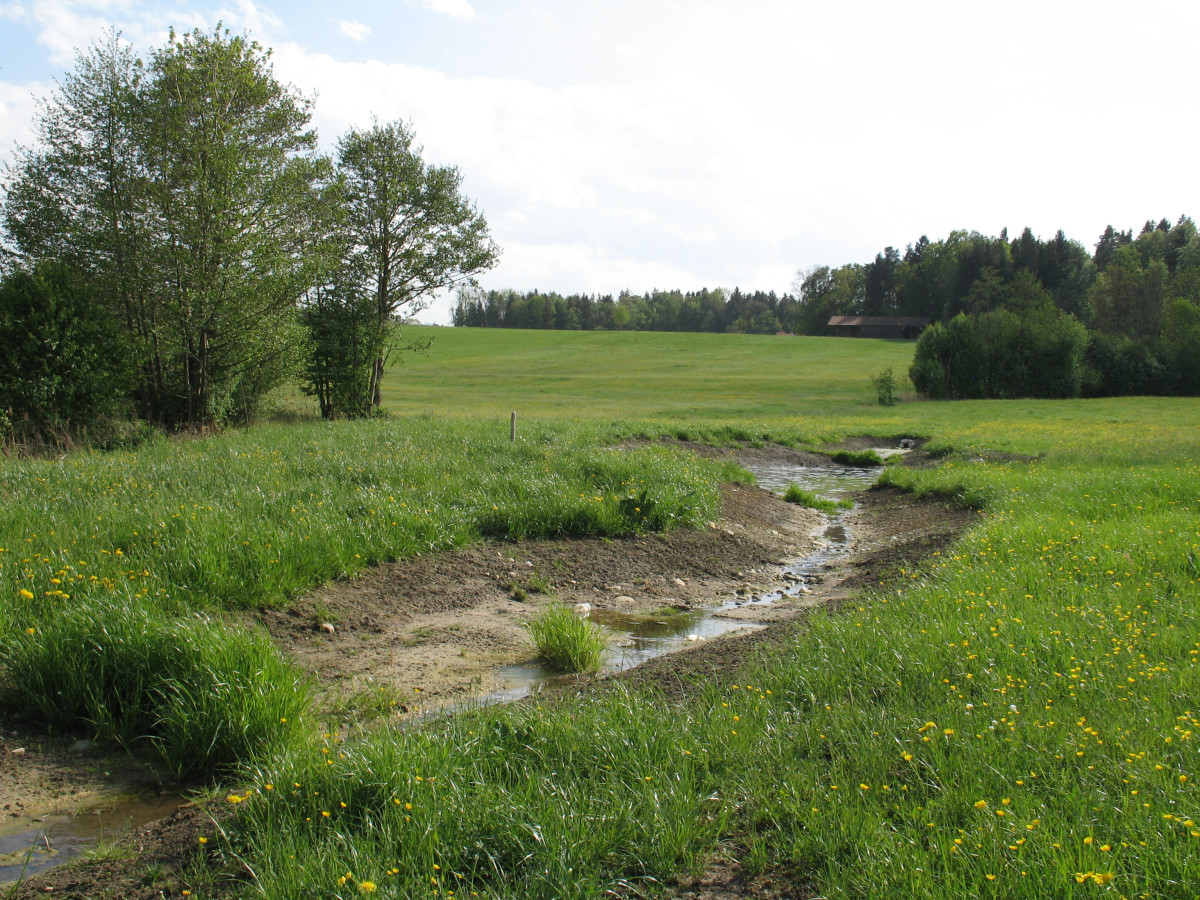 Sickerstrecke zur Behandlung von Dränwasser bei Parschall