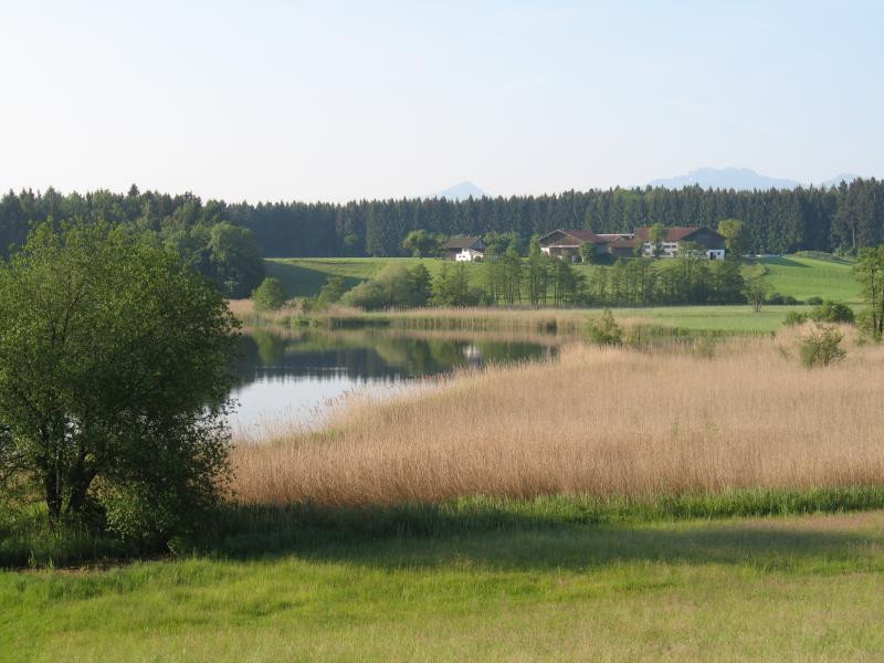 boden:ständig