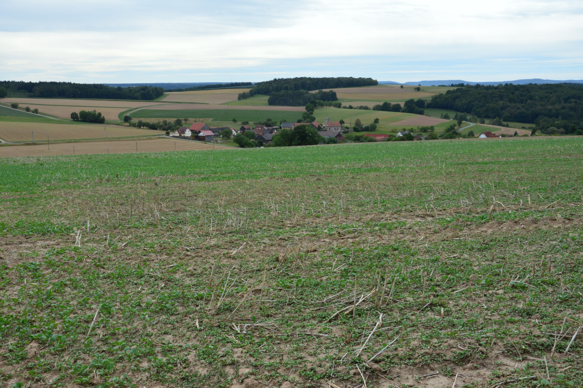 Erhöhte Überschwemmungsgefahr in Reichartshausen durch Kessellage (Bild von Nordwesten aus aufgenommen)