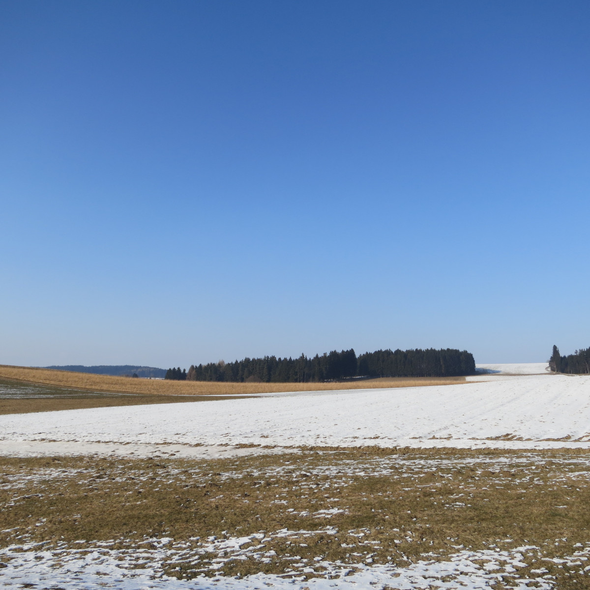 Blick in die Flur bei Fleisnitz