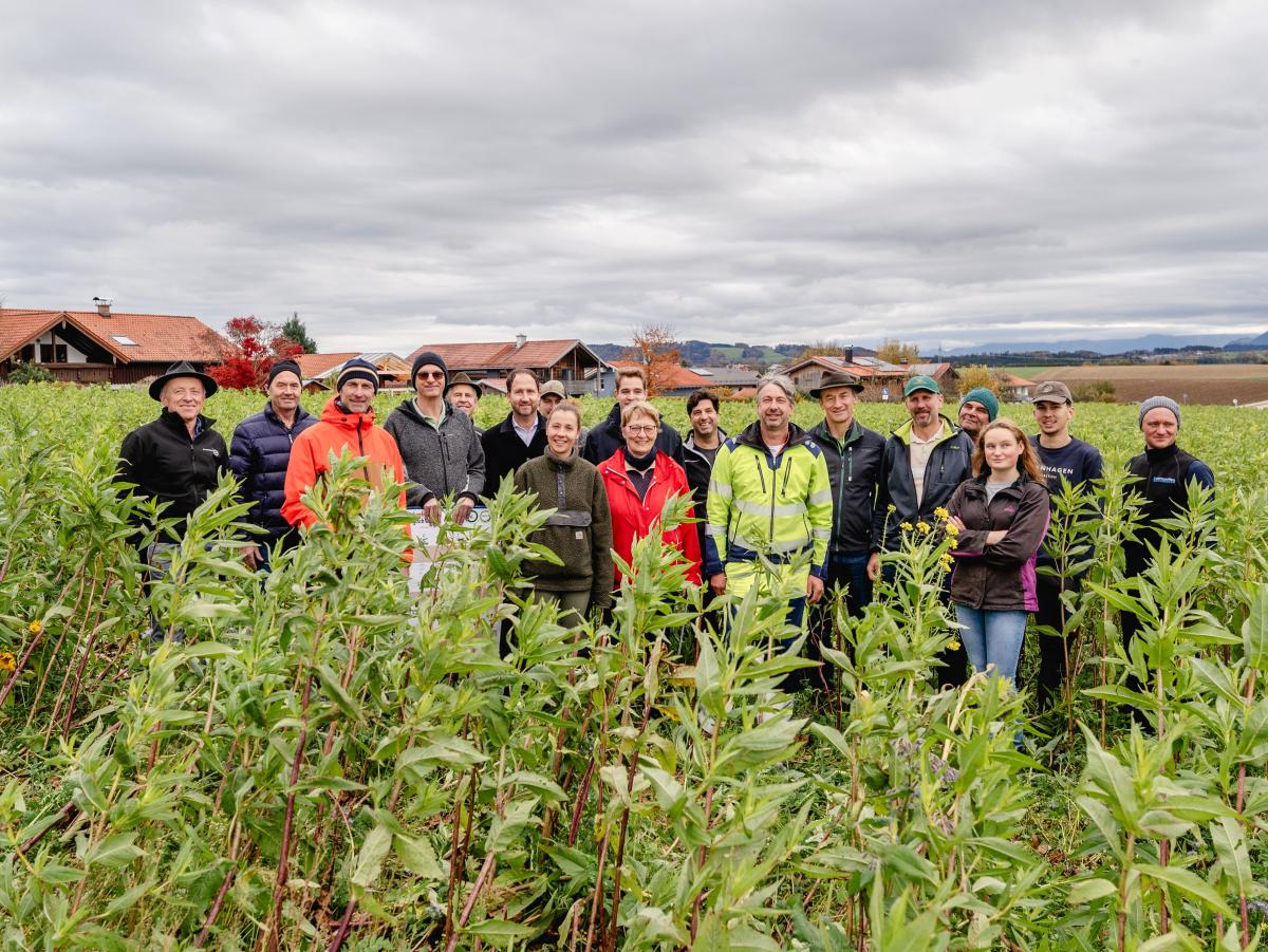 eine Gruppe Menschen steht inmitten einer gut gewachsenen Zwischenfrucht