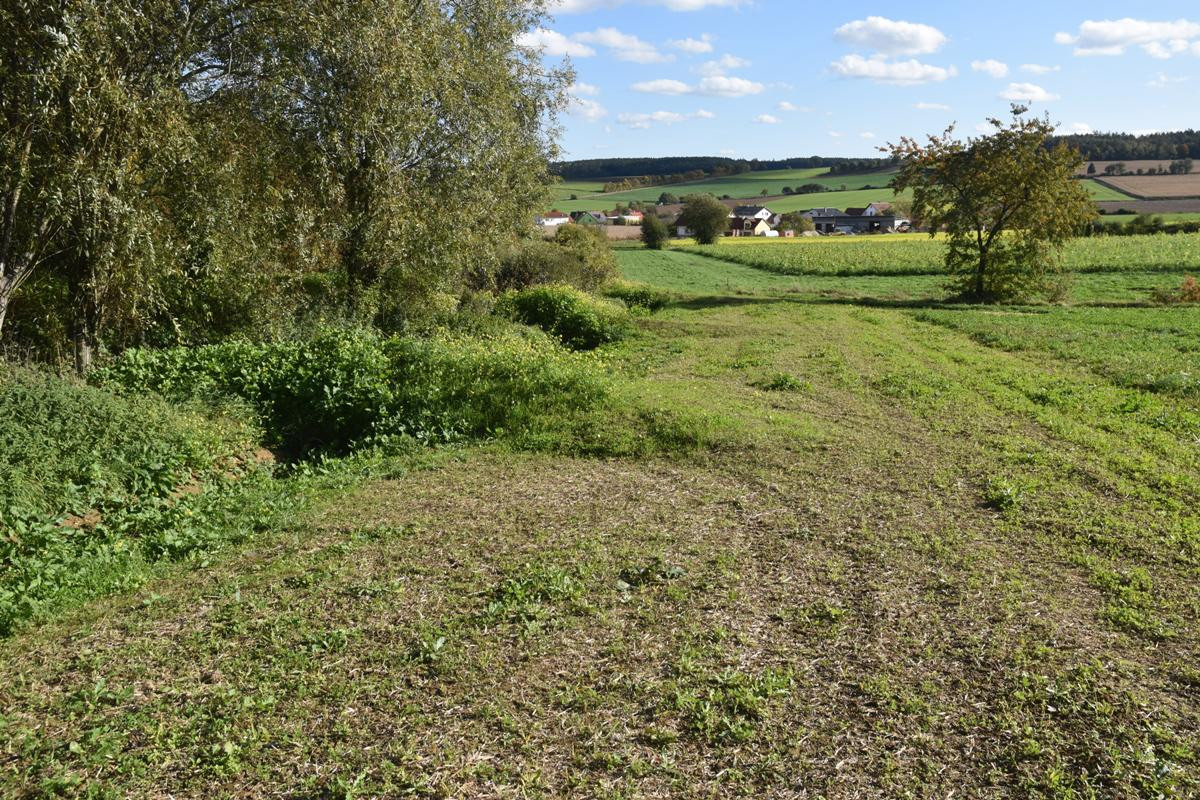 Der jüngste Abschnitt der Grabenaufweitung. Im Mittelgrund: bereits bewachsene Ablaufmulden.