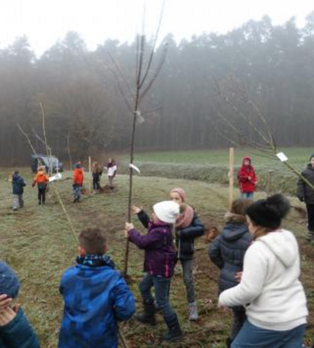 Kinder pflanzen 8 Obstbäume