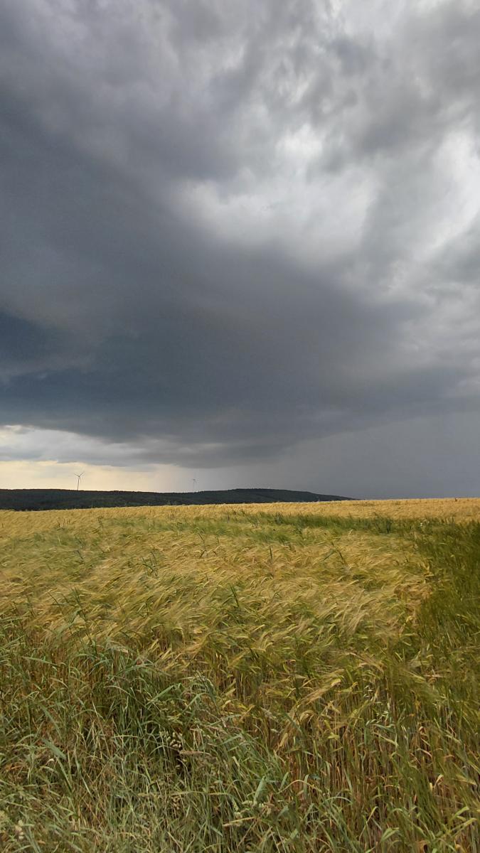 Ortsbegehung am 22.06.2026