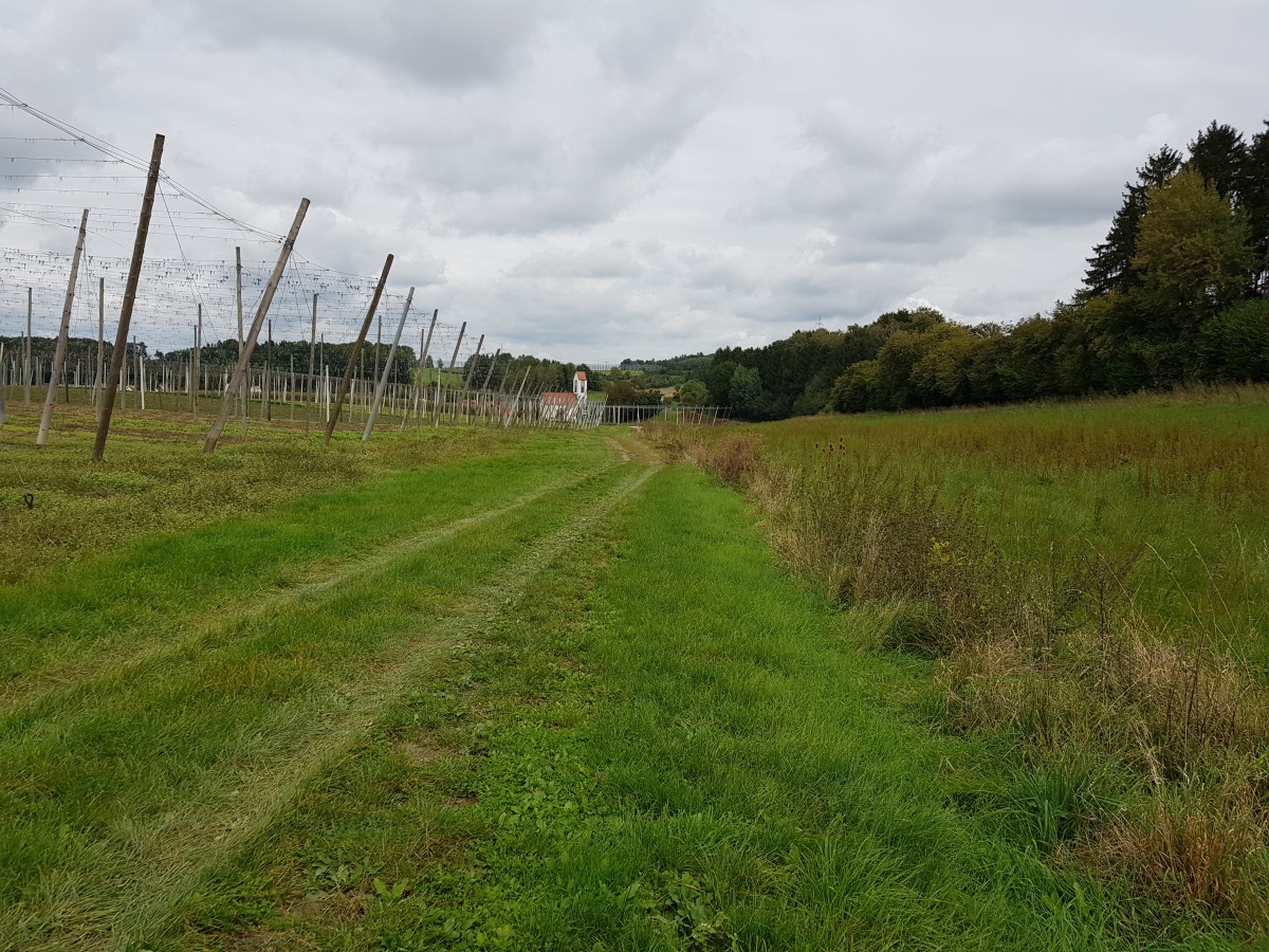 Landschaftsbild in Ober- und Untermettenbach