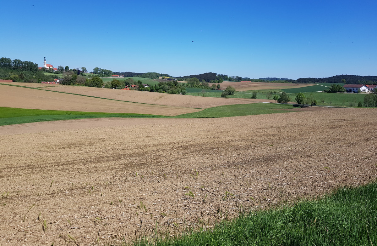 Blick auf die hügeligen Ackerflächen im Hintergrund die Kirche von Oberbergkirchen