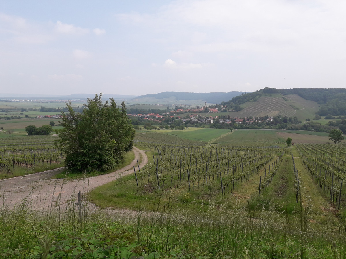 Blick aufs boden:ständig-Gebiet Castell