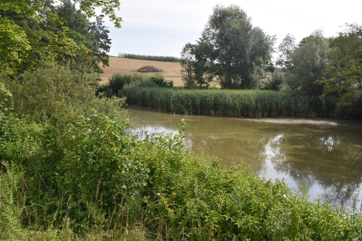 Das Becken unterhalb von Tollbach