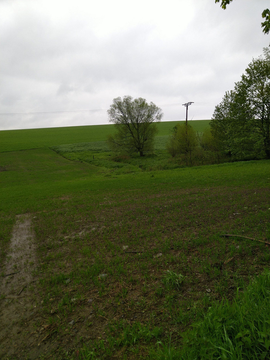 Flächenunterteilung auf eimen Feld in Fleisnitz