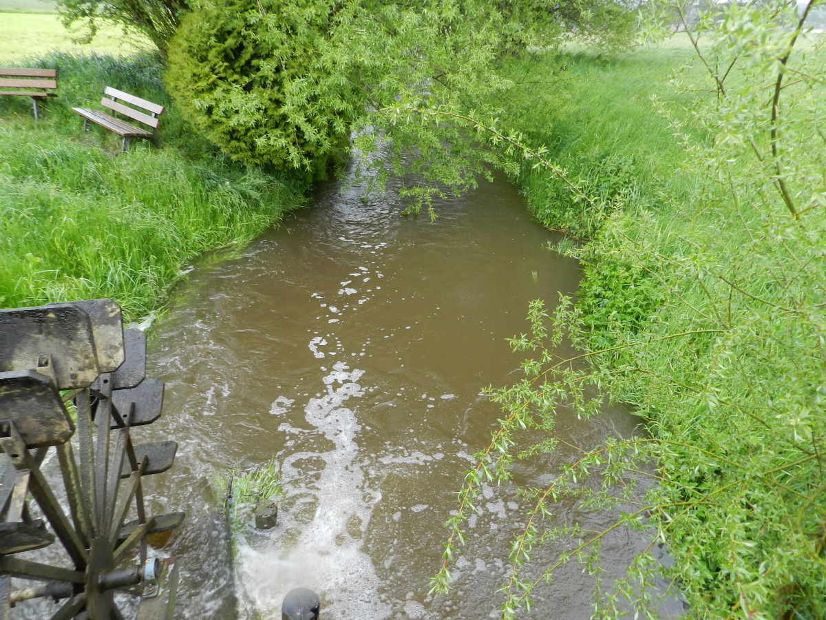 Die Roth führt zu viel Sediment mit sich