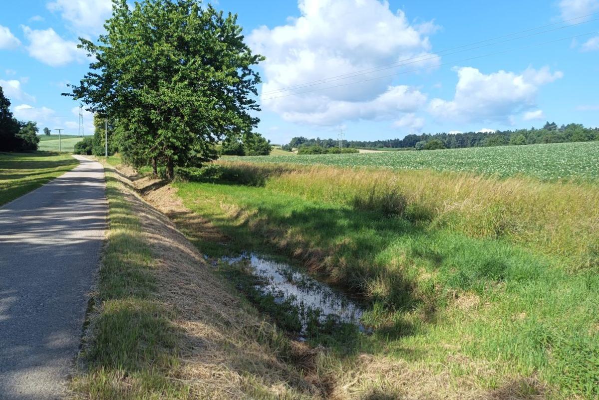 Etwas Wasser steht noch im aufgeweiteten Graben