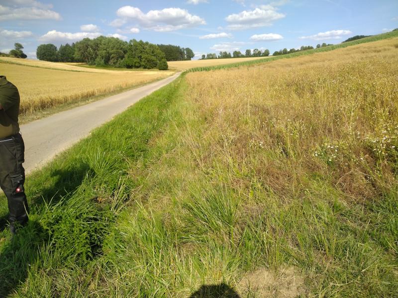 schnurgerader Wegbegleitgraben führt Wasser schnellstmöglich in den darunter liegenden Ort
