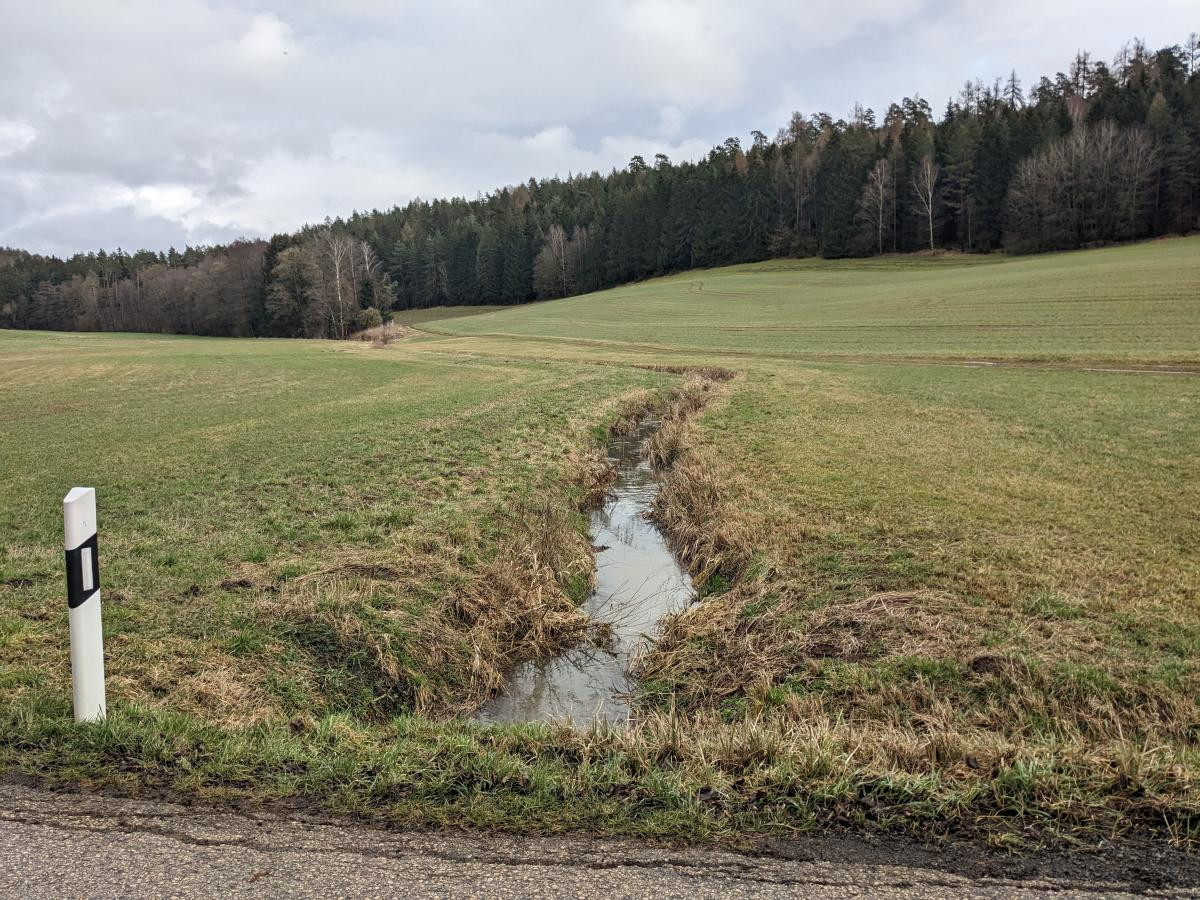 Blick in die frreie Flur entlang eines Grabens. Links und recht sind Wiesen zu sehen im Hintergrund Wald