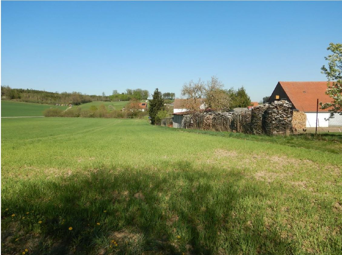 Hier soll die begrünte Abflussmulde angelegt werden und so das Wasser am Ort vorbeileiten