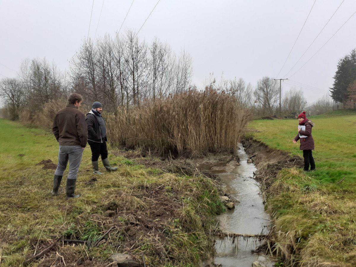 Drei Menschen diskutieren an einem Bach - sie sind bei nebligem Wetter warm bekleidet.