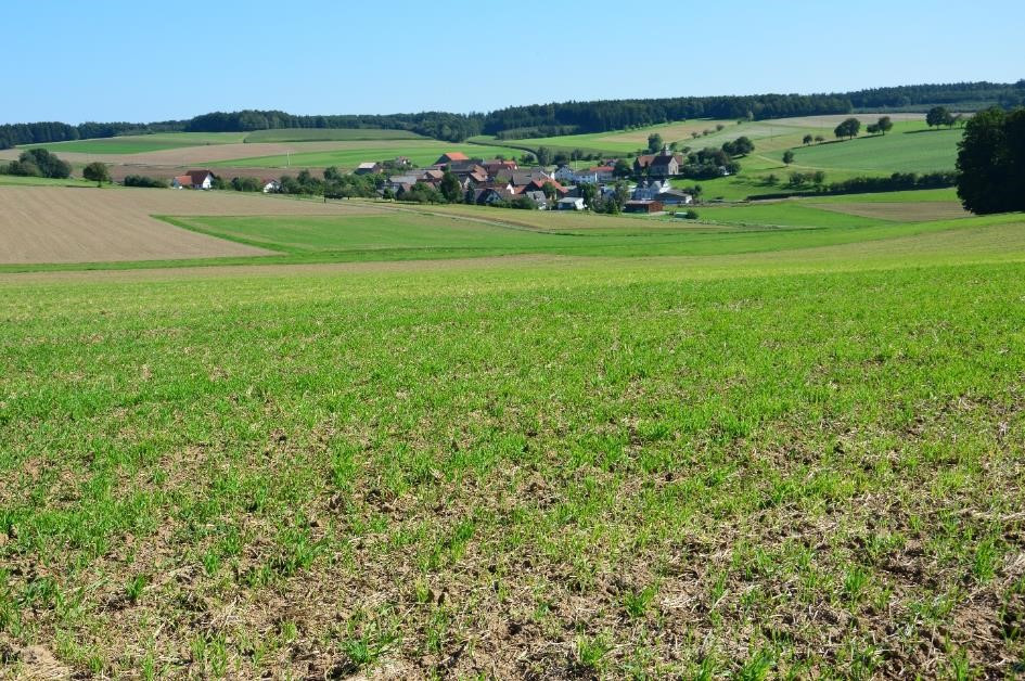 Landwirtschaftlich genutztes Gelände mit teilweise starkem Gefälle nördlich und südwestlich von Reichartshausen