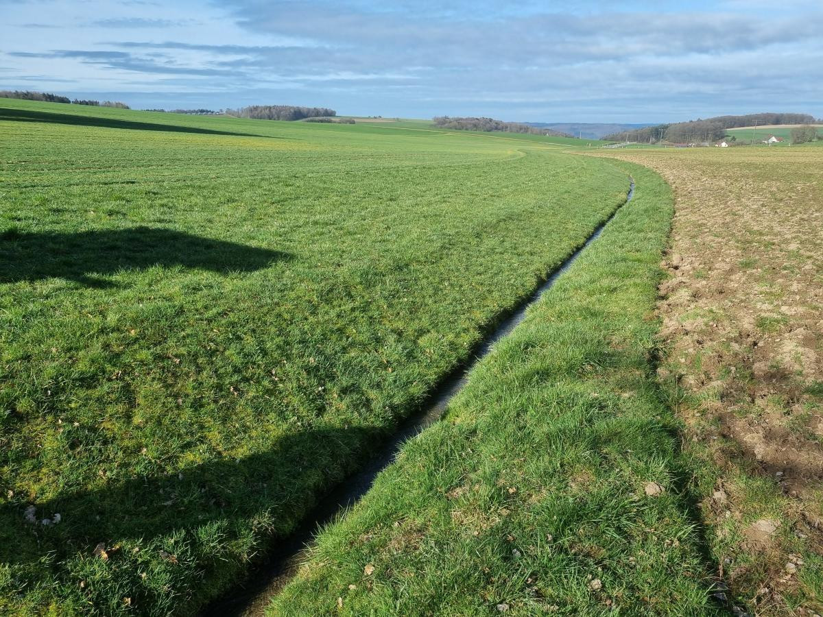 Foto des Reichartshäuser Bachs, welcher sich stark begradigt und naturfern durch eine landwirtschaftliche Fläche bewegt