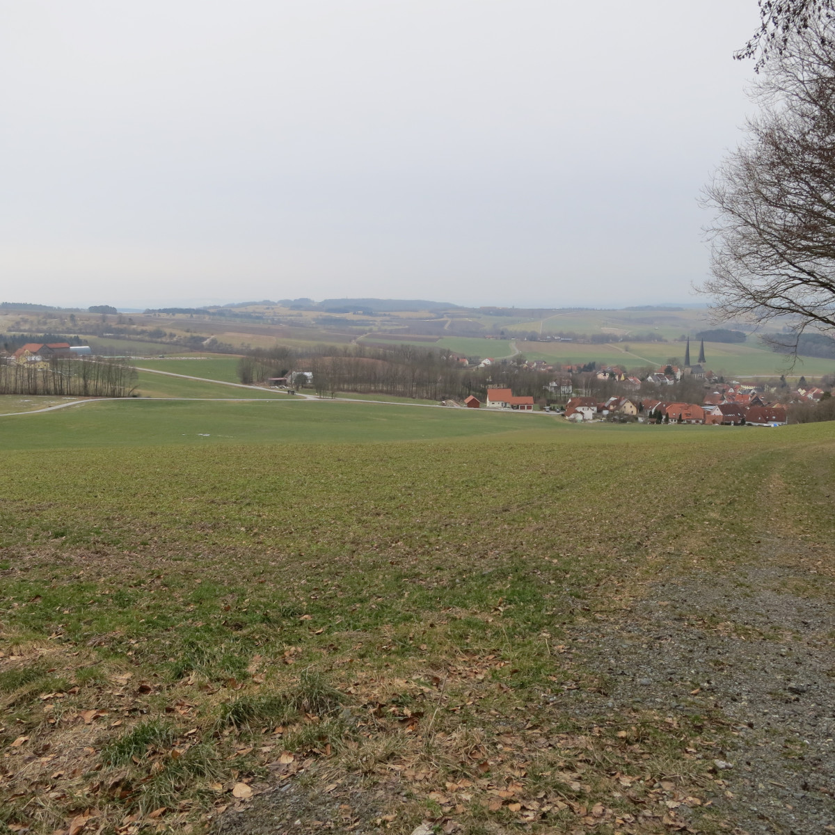 Blick ins Projektgebiet bei Nemmersdorf (Stadt Goldkronach)